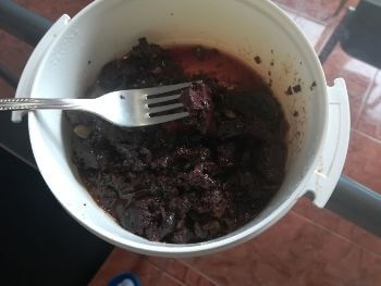 Blood stew on fork